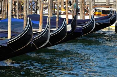 We explore Venice, DSE_8021_b_H490